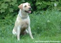 Bella at the Park 004.jpg